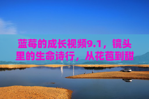 蓝莓的成长视频9.1,镜头里的生命诗行,从花苞到甜果的时光密语 蓝莓的成长视频9.1,镜头里的生命诗行,从花苞到甜果的时光密语