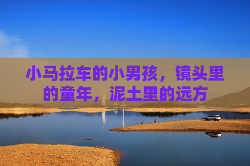 小马拉车的小男孩,镜头里的童年,泥土里的远方 小马拉车的小男孩,镜头里的童年,泥土里的远方