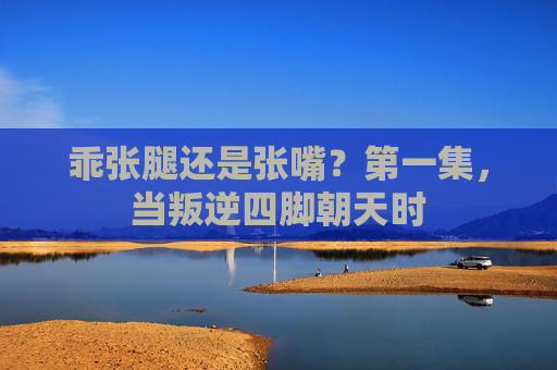 乖张腿还是张嘴?第一集,当叛逆四脚朝天时 乖张腿还是张嘴?第一集,当叛逆四脚朝天时