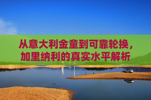 从意大利金童到可靠轮换,加里纳利的真实水平解析 从意大利金童到可靠轮换,加里纳利的真实水平解析