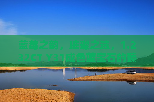 蓝莓之韵,璀璨之选,1.232CT Y31成色蓝宝石的臻藏解析 蓝莓之韵,璀璨之选,1.232CT Y31成色蓝宝石的臻藏解析