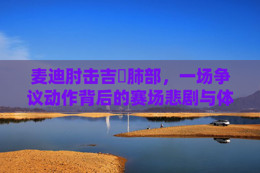 麦迪肘击吉喆肺部,一场争议动作背后的赛场悲剧与体育叩问 麦迪肘击吉喆肺部,一场争议动作背后的赛场悲剧与体育叩问
