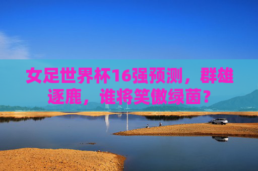 女足世界杯16强预测,群雄逐鹿,谁将笑傲绿茵? 女足世界杯16强预测,群雄逐鹿,谁将笑傲绿茵?