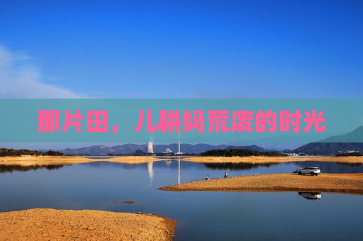 那片田,儿耕妈荒废的时光 那片田,儿耕妈荒废的时光