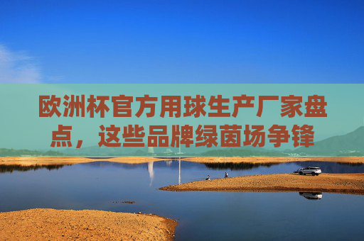 欧洲杯官方用球生产厂家盘点,这些品牌绿茵场争锋 欧洲杯官方用球生产厂家盘点,这些品牌绿茵场争锋