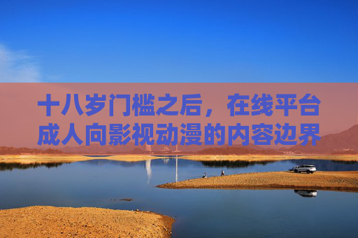 十八岁门槛之后，在线平台成人向影视动漫的内容边界与观看伦理