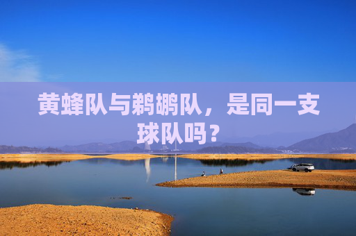 黄蜂队与鹈鹕队,是同一支球队吗? 黄蜂队与鹈鹕队,是同一支球队吗?