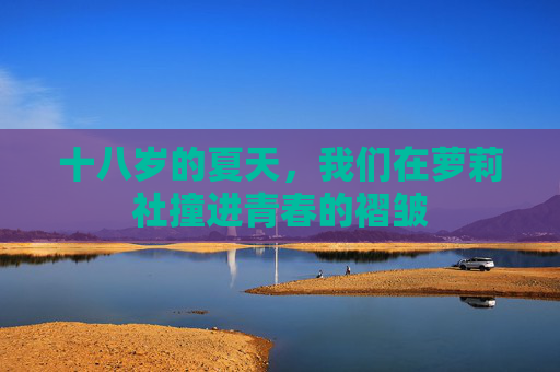 十八岁的夏天,我们在萝莉社撞进青春的褶皱 十八岁的夏天,我们在萝莉社撞进青春的褶皱