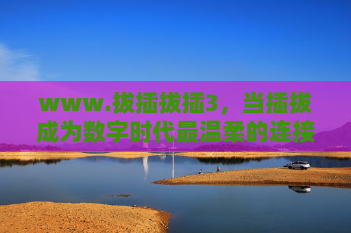 www.拔插拔插3,当插拔成为数字时代最温柔的连接密码 www.拔插拔插3,当插拔成为数字时代最温柔的连接密码