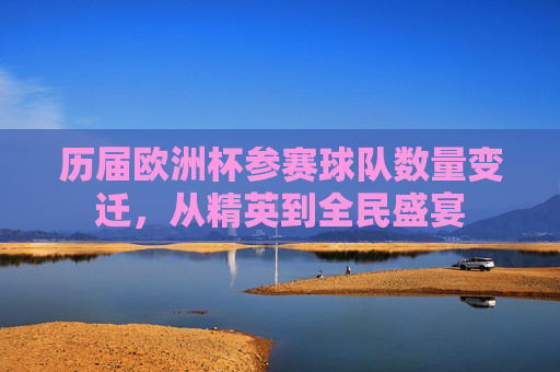 历届欧洲杯参赛球队数量变迁,从精英到全民盛宴 历届欧洲杯参赛球队数量变迁,从精英到全民盛宴