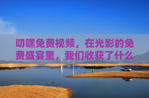叨嘿免费视频，在光影的免费盛宴里，我们收获了什么，又该警惕什么？