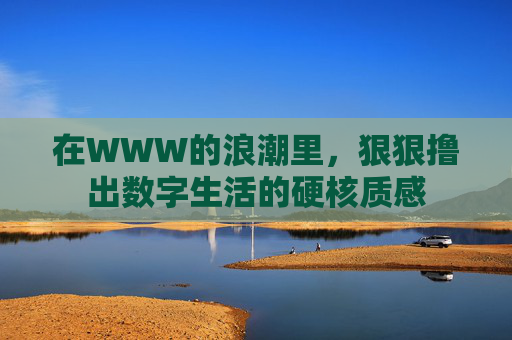 在WWW的浪潮里，狠狠撸出数字生活的硬核质感