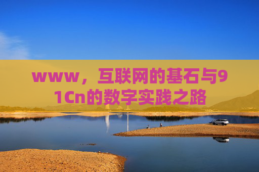 www，互联网的基石与91Cn的数字实践之路