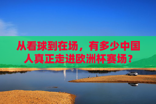 从看球到在场,有多少中国人真正走进欧洲杯赛场? 从看球到在场,有多少中国人真正走进欧洲杯赛场?