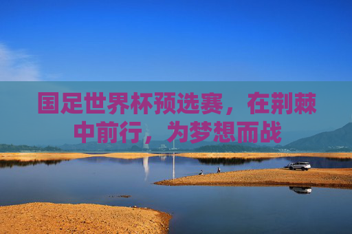 国足世界杯预选赛,在荆棘中前行,为梦想而战 国足世界杯预选赛,在荆棘中前行,为梦想而战