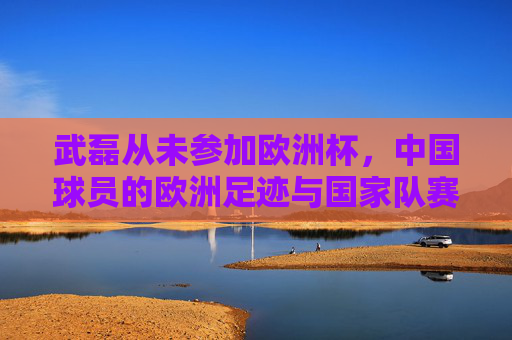武磊从未参加欧洲杯，中国球员的欧洲足迹与国家队赛事解析