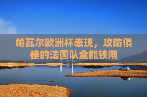 帕瓦尔欧洲杯表现,攻防俱佳的法国队全能铁闸 帕瓦尔欧洲杯表现,攻防俱佳的法国队全能铁闸