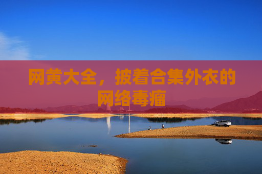 网黄大全，披着合集外衣的网络毒瘤