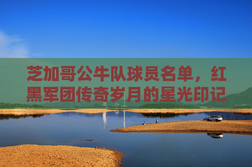 芝加哥公牛队球员名单，红黑军团传奇岁月的星光印记