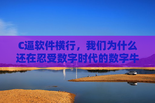 C逼软件横行,我们为什么还在忍受数字时代的数字牛皮癣? C逼软件横行,我们为什么还在忍受数字时代的数字牛皮癣?