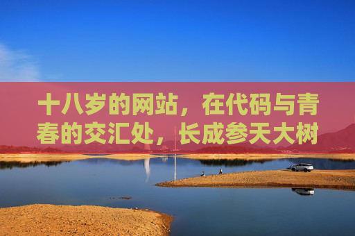 十八岁的网站,在代码与青春的交汇处,长成参天大树 十八岁的网站,在代码与青春的交汇处,长成参天大树