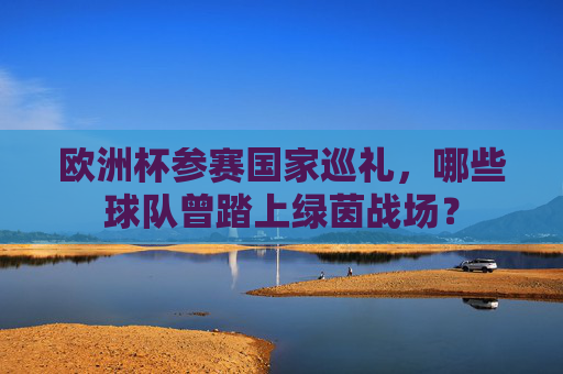 欧洲杯参赛国家巡礼，哪些球队曾踏上绿茵战场？