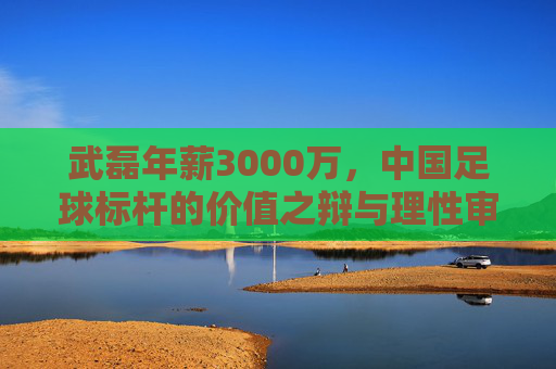 武磊年薪3000万,中国足球标杆的价值之辩与理性审视 武磊年薪3000万,中国足球标杆的价值之辩与理性审视