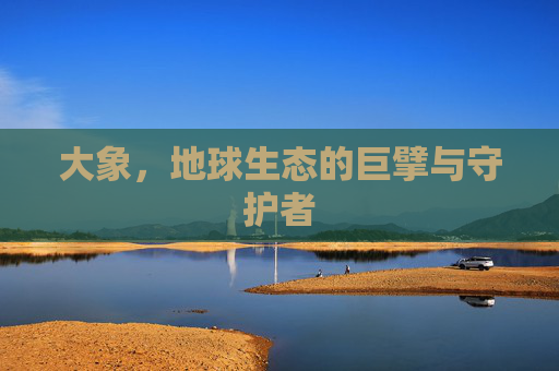 大象,地球生态的巨擘与守护者 大象,地球生态的巨擘与守护者