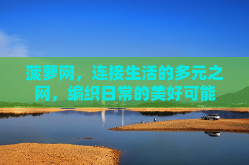菠萝网，连接生活的多元之网，编织日常的美好可能