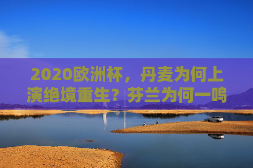 2020欧洲杯，丹麦为何上演绝境重生？芬兰为何一鸣惊人？
