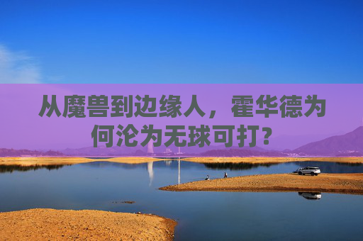 从魔兽到边缘人,霍华德为何沦为无球可打? 从魔兽到边缘人,霍华德为何沦为无球可打?