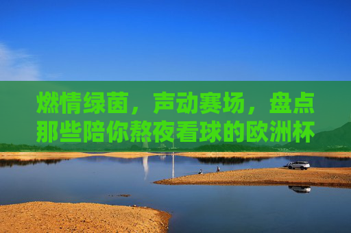 燃情绿茵，声动赛场，盘点那些陪你熬夜看球的欧洲杯游戏BGM