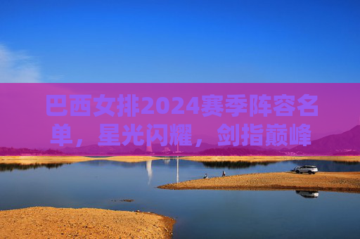 巴西女排2024赛季阵容名单，星光闪耀，剑指巅峰