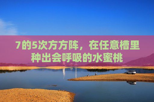 7的5次方方阵,在任意槽里种出会呼吸的水蜜桃 7的5次方方阵,在任意槽里种出会呼吸的水蜜桃