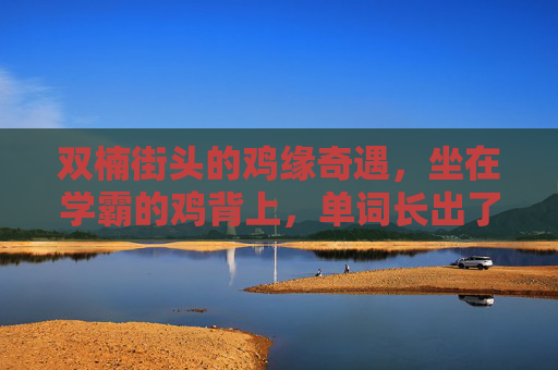 双楠街头的鸡缘奇遇,坐在学霸的鸡背上,单词长出了翅膀 双楠街头的鸡缘奇遇,坐在学霸的鸡背上,单词长出了翅膀