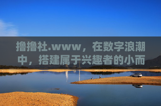 撸撸社.www,在数字浪潮中,搭建属于兴趣者的小而美栖息地 撸撸社.www,在数字浪潮中,搭建属于兴趣者的小而美栖息地