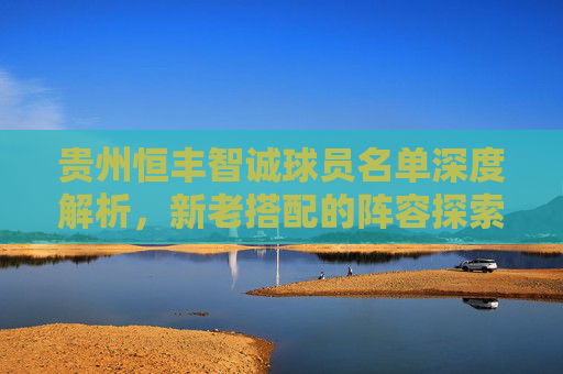 贵州恒丰智诚球员名单深度解析,新老搭配的阵容探索与未来展望 贵州恒丰智诚球员名单深度解析,新老搭配的阵容探索与未来展望