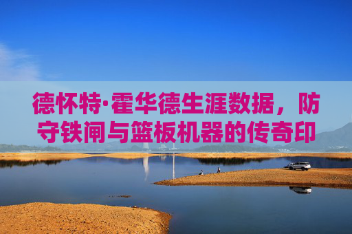 德怀特·霍华德生涯数据,防守铁闸与篮板机器的传奇印记 德怀特·霍华德生涯数据,防守铁闸与篮板机器的传奇印记