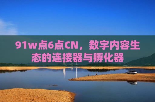 91w点6点CN,数字内容生态的连接器与孵化器 91w点6点CN,数字内容生态的连接器与孵化器