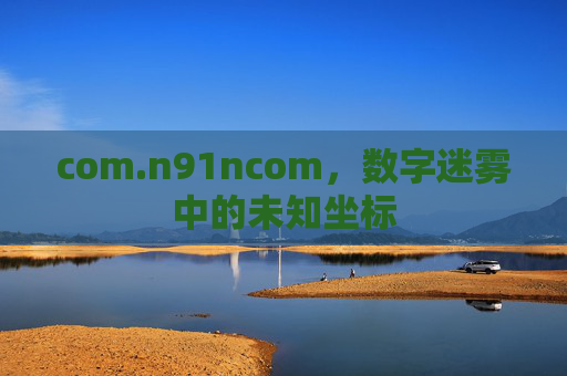 com.n91ncom,数字迷雾中的未知坐标 com.n91ncom,数字迷雾中的未知坐标