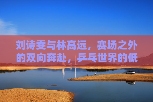 刘诗雯与林高远,赛场之外的双向奔赴,乒乓世界的低调幸福 刘诗雯与林高远,赛场之外的双向奔赴,乒乓世界的低调幸福