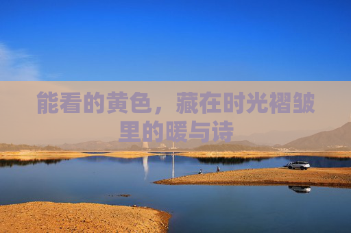 能看的黄色,藏在时光褶皱里的暖与诗 能看的黄色,藏在时光褶皱里的暖与诗