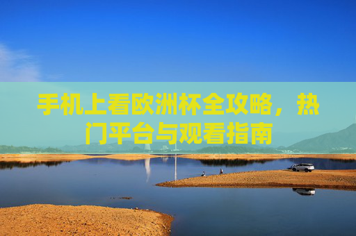 手机上看欧洲杯全攻略,热门平台与观看指南 手机上看欧洲杯全攻略,热门平台与观看指南