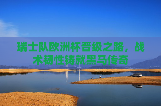 瑞士队欧洲杯晋级之路,战术韧性铸就黑马传奇 瑞士队欧洲杯晋级之路,战术韧性铸就黑马传奇