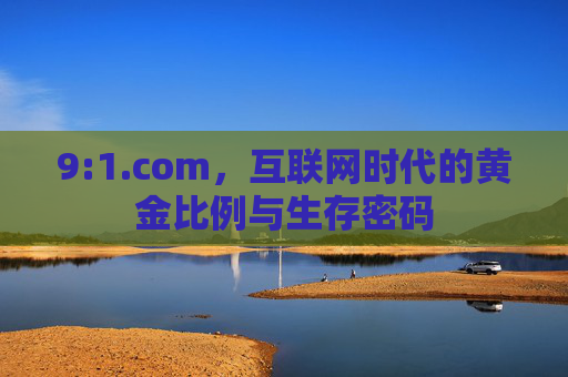 9:1.com,互联网时代的黄金比例与生存密码 9:1.com,互联网时代的黄金比例与生存密码