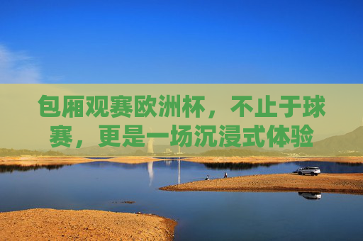 包厢观赛欧洲杯，不止于球赛，更是一场沉浸式体验