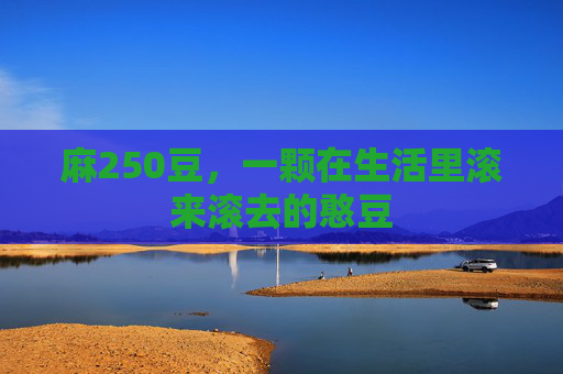 麻250豆，一颗在生活里滚来滚去的憨豆