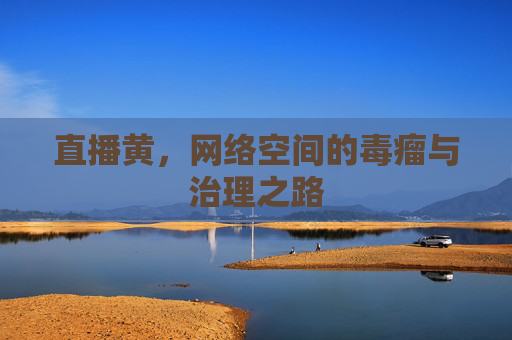 直播黄,网络空间的毒瘤与治理之路 直播黄,网络空间的毒瘤与治理之路