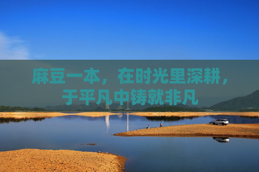 麻豆一本,在时光里深耕,于平凡中铸就非凡 麻豆一本,在时光里深耕,于平凡中铸就非凡