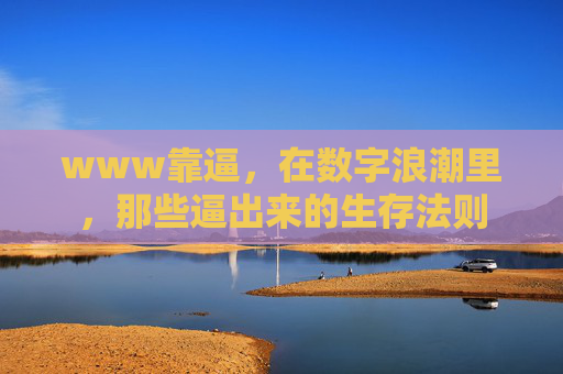www靠逼,在数字浪潮里,那些逼出来的生存法则 www靠逼,在数字浪潮里,那些逼出来的生存法则